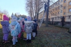 IMG-20260302-WA0000