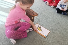 IMG_20260226_095119-1