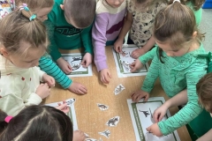 71855382-c239-4727-a1de-f38279118065