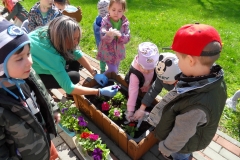 SAMSUNG DIGITAL CAMERA