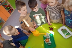 IMG20250326091336