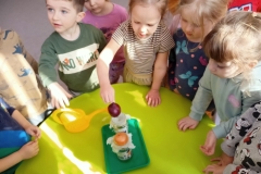 IMG20250326091356