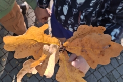 20260929_102804