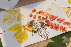 62f329da-0c28-4308-8f0b-340b4df8cd57