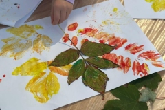 c7187c05-c573-44d7-9eb9-e23591c90219