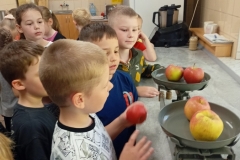 IMG20240510092231