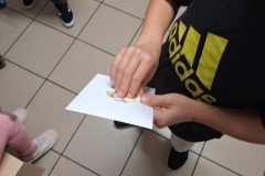 20261029_120419