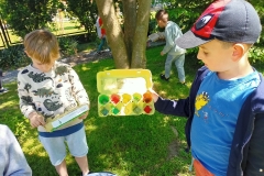 IMG20240515104631
