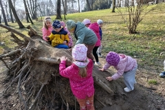 IMG_20260316_104423