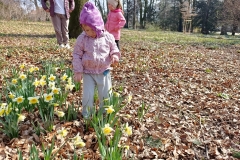IMG_20260316_105118