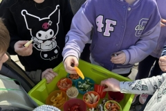 487854695_2938716676306398_8494184208269597097_n