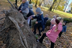 7c5133c6-b5c8-4372-a538-a6d2d2550dd1