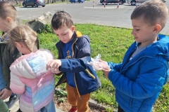 ecb3fddc-5216-4295-a623-0dcb0fbc1bab