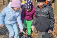 20260320_103112_resized