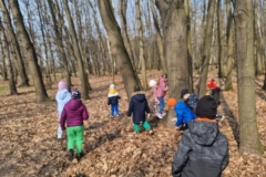 20260320_103115_resized