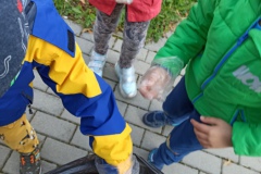 IMG_20210929_111550