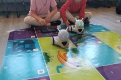 IMG_20231018_110954_1