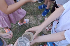 20260909_110108