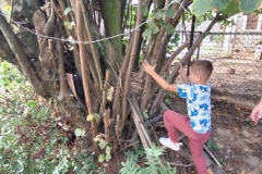 8ca784cf-b818-419c-b5fb-76729ef8fdcf