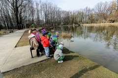 IMG_20260325_1056252-1