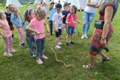 IMG_20240522_093356