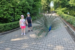 469507b6-ab7c-4225-b797-1959f3fbb23c