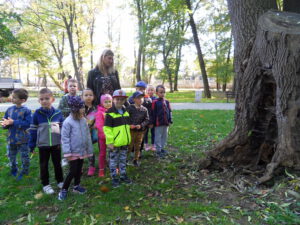 Dzieci mierzą obwód drzewa. 