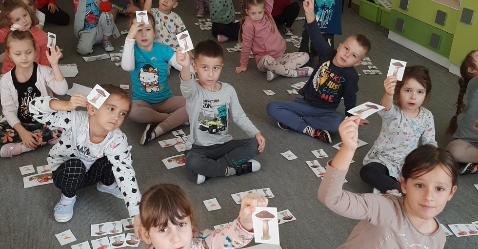 Grzybobranie- rozróżniamy grzyby jadalne i trujące