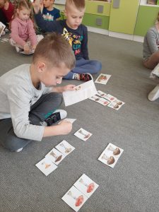Grzybobranie- rozróżniamy grzyby jadalne i trujące