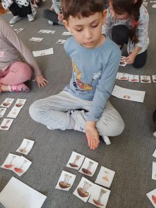 Grzybobranie- rozróżniamy grzyby jadalne i trujące