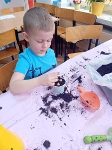 Chłopiec siedzi przy stoliku. Wsadza cebulki do pojemnika z ziemią.