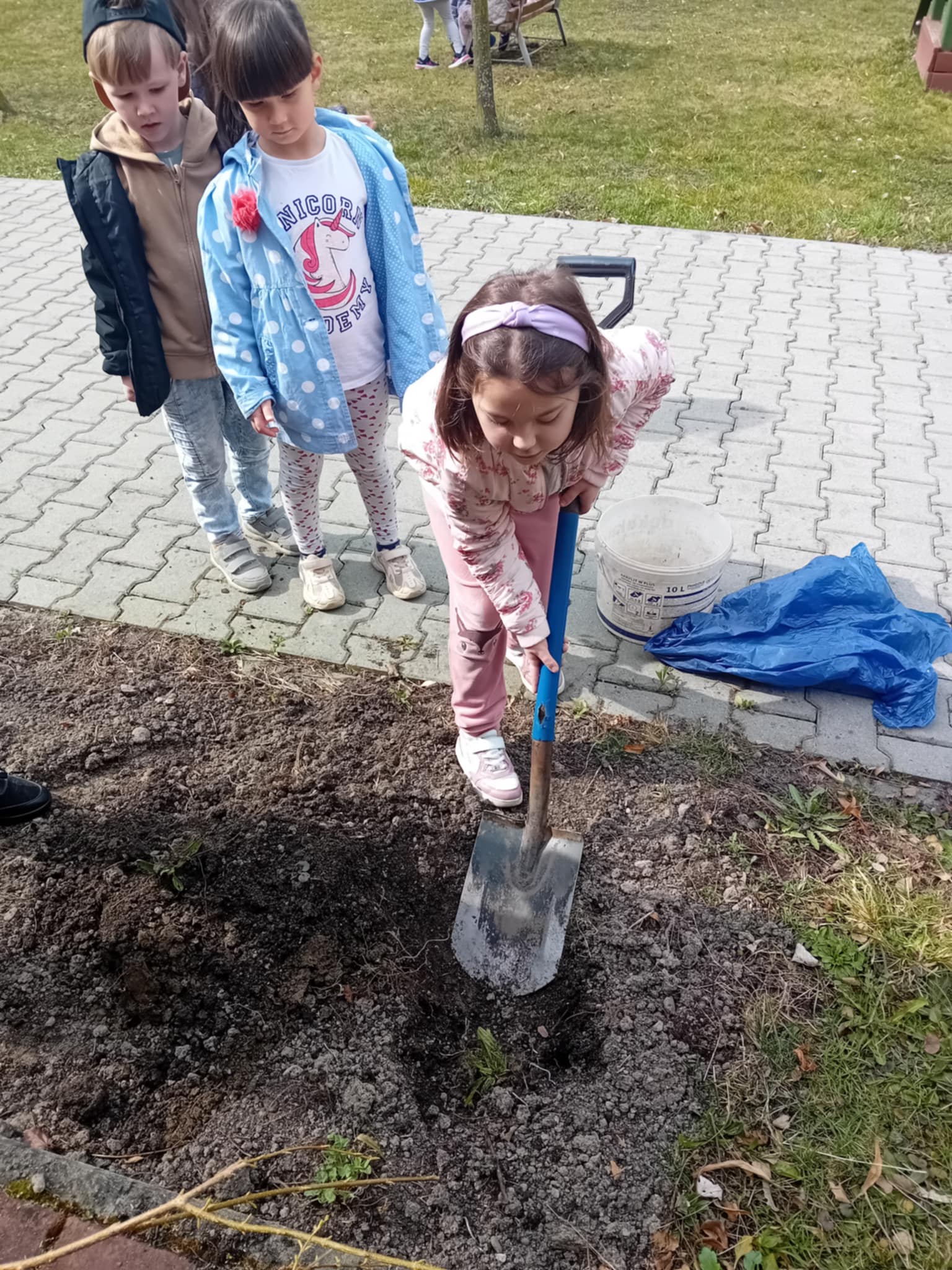 Jeszcze jedna chętna dziewczynka kopie łopatą dołek.