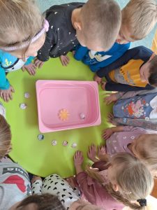 Grupa dzieci stoi wokół stolika. Wykonują eksperyment. Przyglądają się jak papierowe kwiaty rozwijają się w pojemniku wypełnionym wodą.