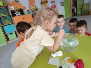 Co pływa? Co tonie? - zabawy badawcze "Stokrotek"