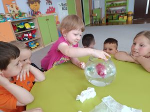 Co pływa? Co tonie? - zabawy badawcze "Stokrotek"